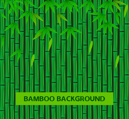 Green bamboo tree plant leaves background