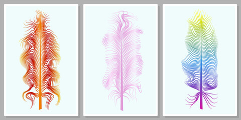 fluffy colorful exotic bird feathers - wall art vector set.  For wall art, poster, wallpaper, print. 