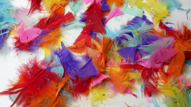 colored feathers, colors, bulk craft feather, decoration, multicolored, colorful, party, decorative art, assortment, design, diy, easter, background, illustration.