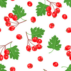 Hawthorn seamless pattern. Vector illustration of red berries and green leaves in cartoon flat style. Food background.