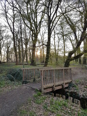 Die Brücke im Park