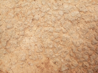 The ground has cracks in the top view for the background