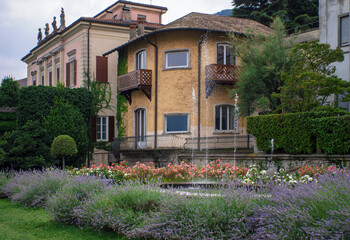 Fototapeta na wymiar water splashes from the fountain on the flowering bushes in the garden of an ancient Italian villa.