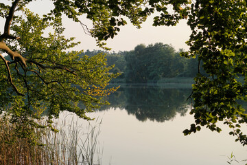 Rund um den Schweriner See: Bei Hohen Viecheln