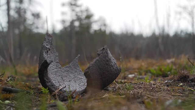 Rusty metal shell splinter lies in the forest in war zone