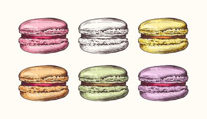 Vector collection of hand drawn colorful cake macaroons. French pastry macaron. Highly detailed collection dessert, macaroon, sweets, menu design, restaurants, shop