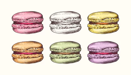 Foto op Plexiglas Vector collection of hand drawn colorful cake macaroons. French pastry macaron. Highly detailed collection dessert, macaroon, sweets, menu design, restaurants, shop © Katy's Dreams