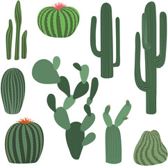 Set of drawn cactuses on a white background.