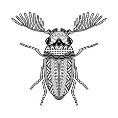 Vector bug of hand drawn