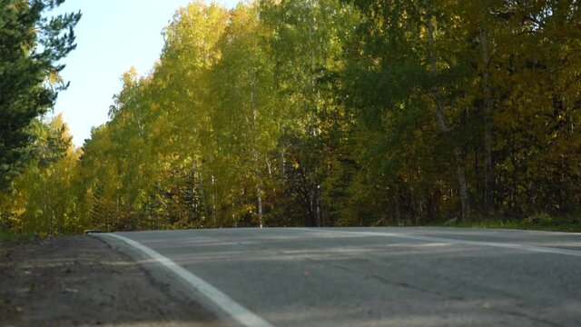 Asphalt Suburban Highway among a dense Autumn Forest on a Sunny Day. Cars pass quickly along the Winding Road. Concept: Traveling by Car