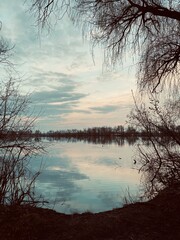 lake in the forest. lake in the woods