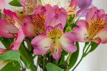 Flowers on a light background. Background for postcards and banners on