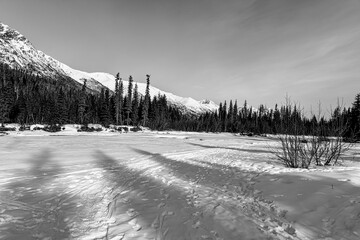 Black and white photo of the Eagle River frozen in Alaska