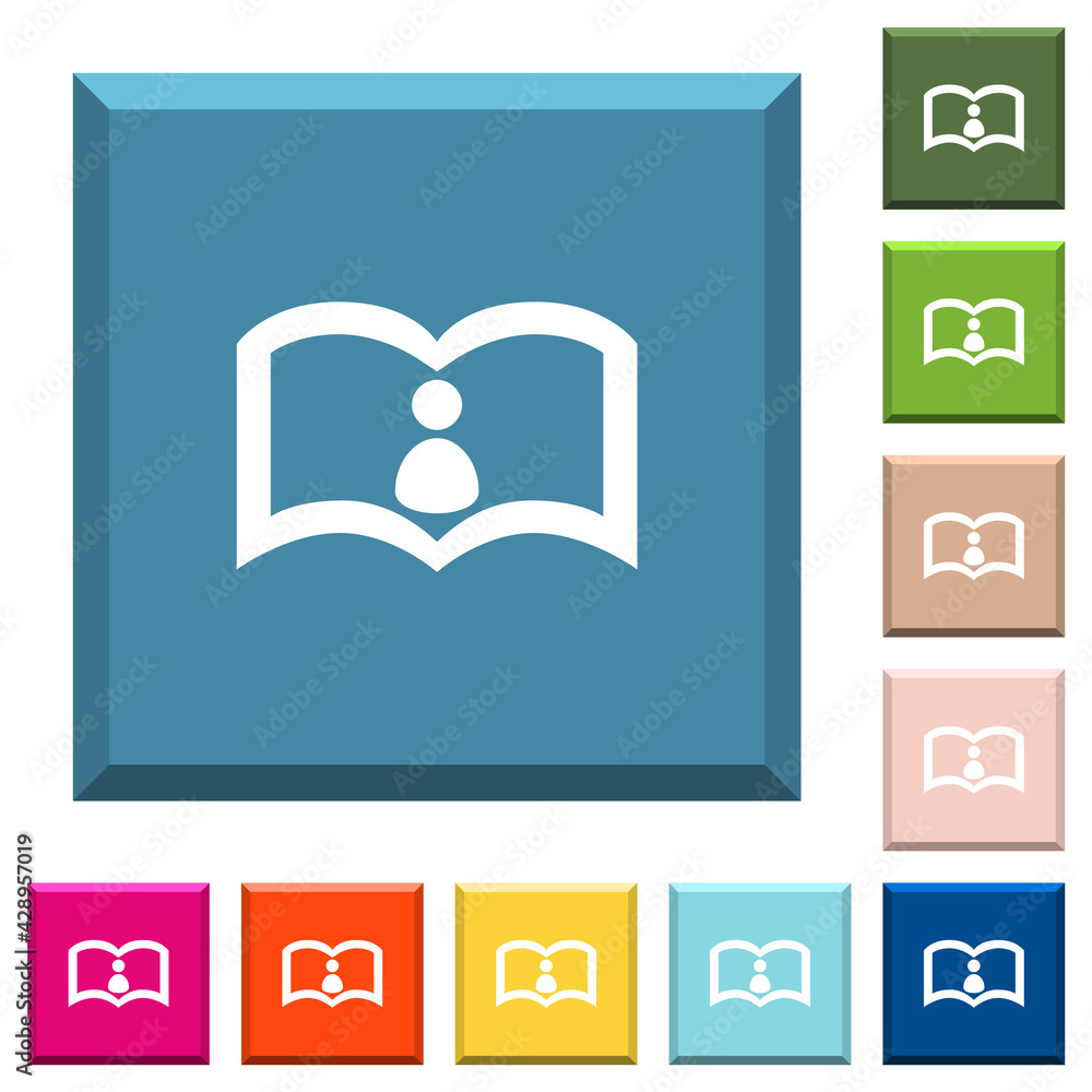 Poster user guide white icons on edged square buttons