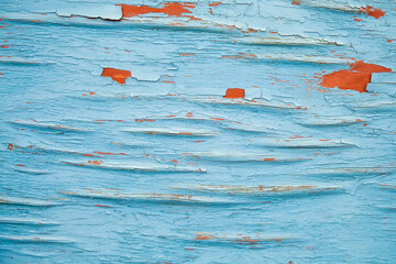 Fragment of surface of old wooden panel with peeling blue paint with pronounced cracks and...
