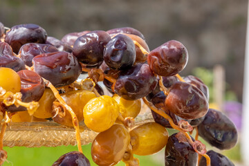 Religious Moslem fasting festival and holy month of Ramadan, EID MUBARAK, concept: Side view. Many sweet brown yellow dried date fruits hanging off a plate. Natural food background with copy space 