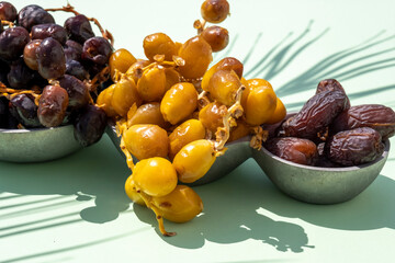 Religious Muslim fasting festival and holy month of Ramadan concept: Many dried sweet brown and fresh yellow date fruits in a plate. Food on green background with the shade of a palm leaf. 