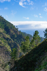 Fototapeta na wymiar Beautiful landscape in the high mountains of Madeira, Portugal