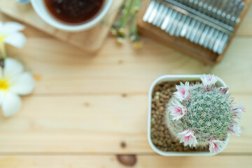 Obraz na płótnie Canvas Background concept, Coffee mugs, Kalimba Cactus and small flowers on the wooden floor, start your work day refreshed.