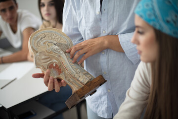 Conversation on biology class.  Teenage students on biology class. Focus is on background.