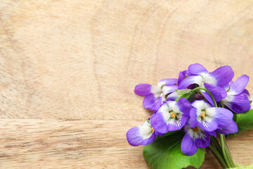 Beautiful wild violets and space for text on wooden table, top view. Spring flowers