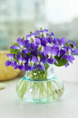 Beautiful wood violets in glass vase on window sill indoors. Spring flowers