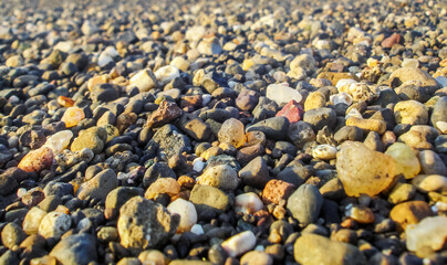 Small Stone On The Beach