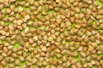 scattered c green buckwheat on an green background. abstract spring background.