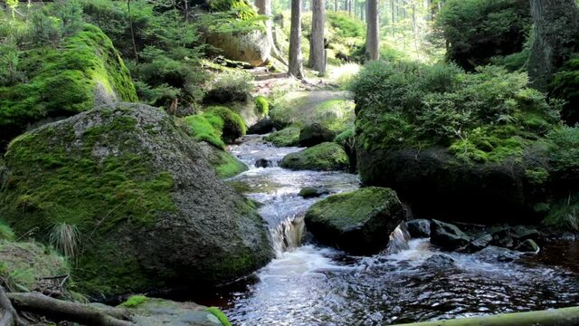 sp&auml;tsommerlicher Bachlauf im Wald, Fichtelgebirge Weissmain