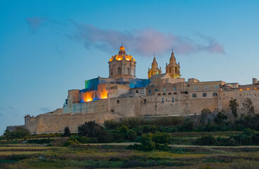 Fototapeta na wymiar Mdina city - old capital of Malta. Evening, nature landscape. Colorful lights in the city