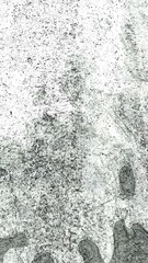 Abstraction in white-gray tones background, backdrop. Stylization for an abstract drawing made using outlines. The base is filled with white with a splash of black and gray.