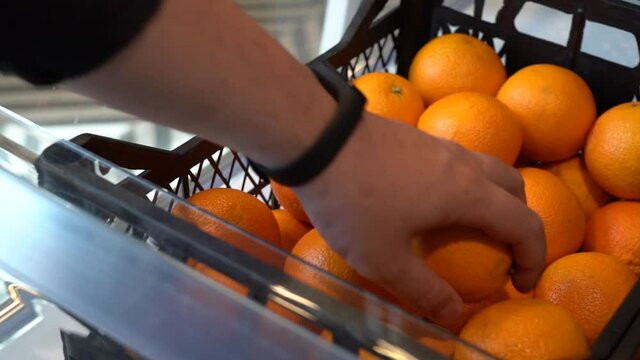 close-up hand takes an orange.