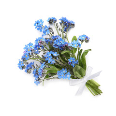 Bouquet of beautiful blue Forget-me-not flowers on white background, top view