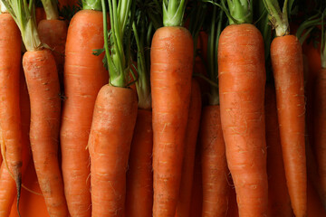 Fresh ripe carrot on whole background, close up