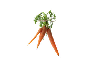 Fresh carrots tied with rope isolated on white background