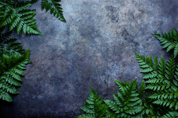 Creative nature layout made of tropical leaves. Summer concept. Fern leaf on wall. Nature beach background layout with free text space.