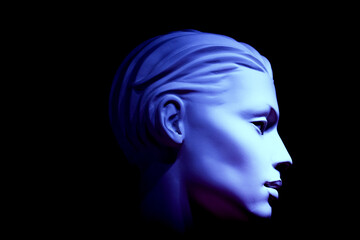 Female portrait of a standard mannequin