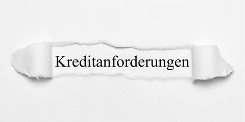 Kreditanforderungen