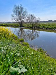 landscape with lake and blue sky