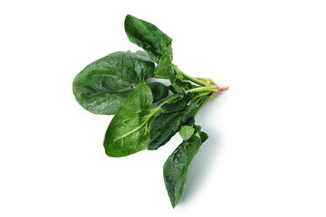 Raw fresh spinach isolated on white background