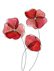 Red poppies with black liner