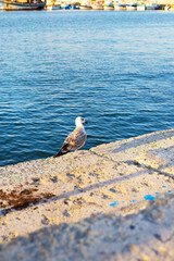 Beautiful panoramas of Nessebar. Bulgaria-sun, sea, beach