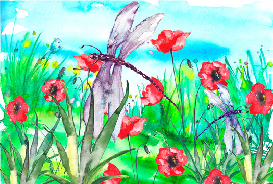 Watercolor landscape with the image of wild grasses, flowers, green plants, Red poppy, fields. Against the background of the blue sky. A dragonfly flies, a moth above the wildflowers.Pollen. 