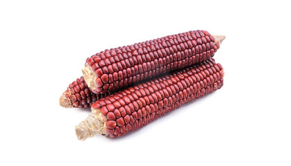 Red corn isolated on a white background.Cobs of Ruby Queen or Red sweet corn. Grains for planting corn with a clipping contour.selective focus.
