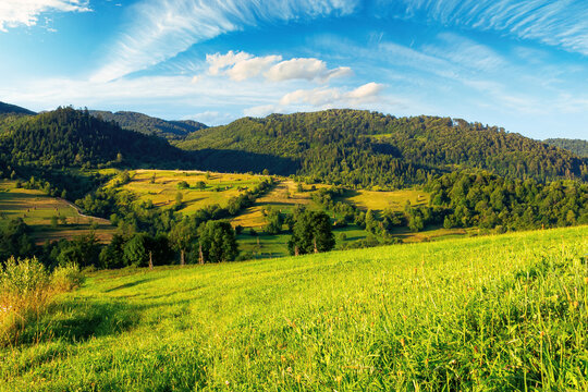 rural fields in the morning light. wonderful mountainous countryside scenery with grassy hills in summer
