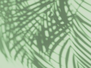 Abstract neutral nature background with sunlight and shadow of tropical palm leaves. Creative minimal summer travel concept with gray shadow palm tree leaf. Blurred background. Flat lay. Mock up