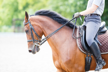 Young girl riding horse on equestrian training