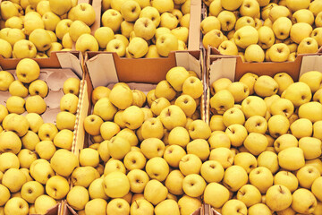 Food background yellow apples in boxes, fruits on a market shelf close up