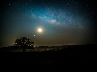 Starry sky with blue Milky Way. Night landscape with alone tree on the mountain peak against...