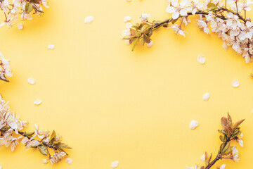 Spring background table. May flowers and April floral nature on pink. For banner, branches of...